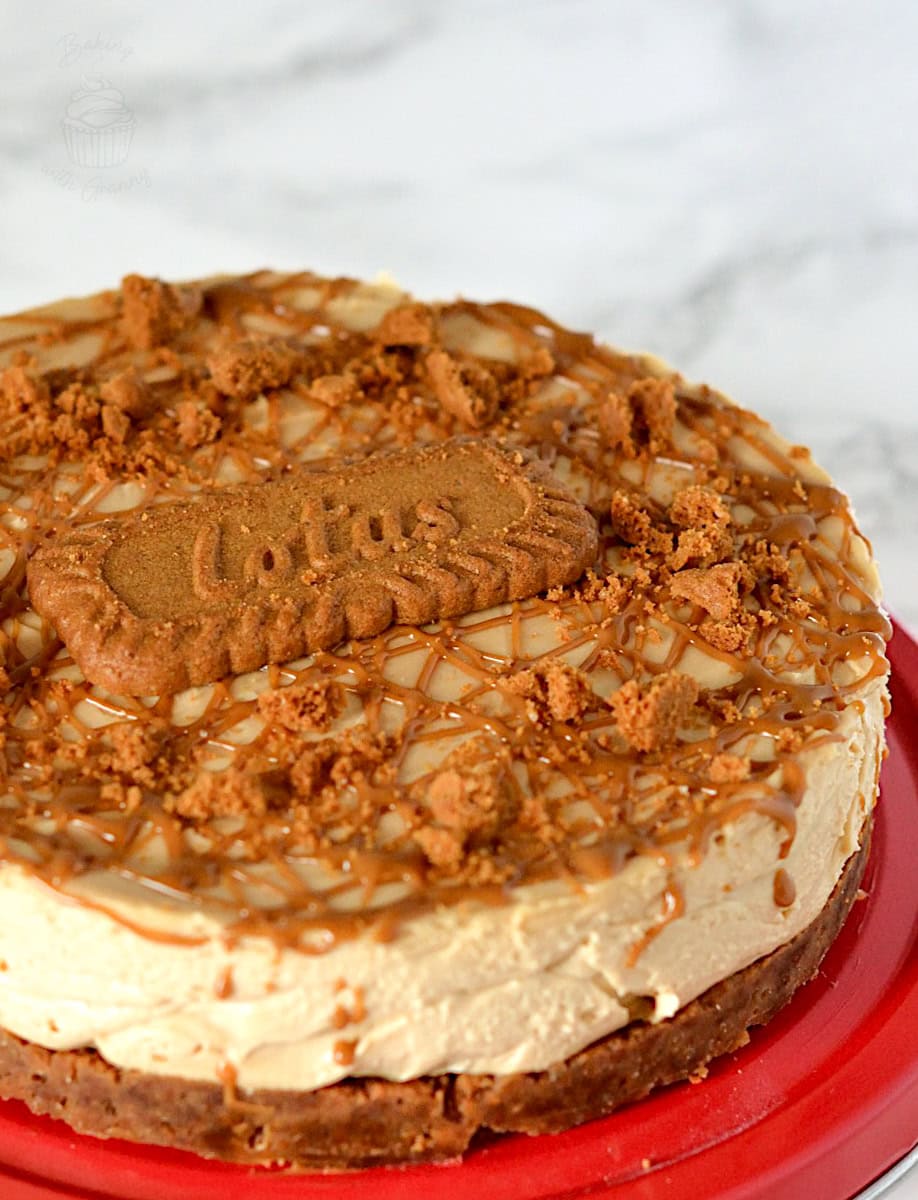 Close-up of creamy Biscoff cheesecake with biscuit base, Lotus biscuit on top, and caramelised biscuit crumb decoration.