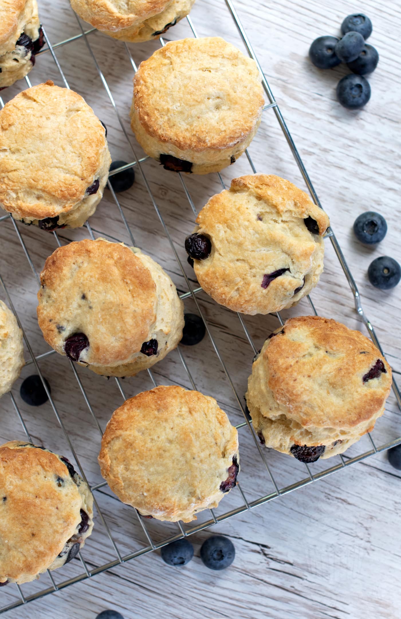 Freshly made blueberry scones, made to traditional UK recipe.