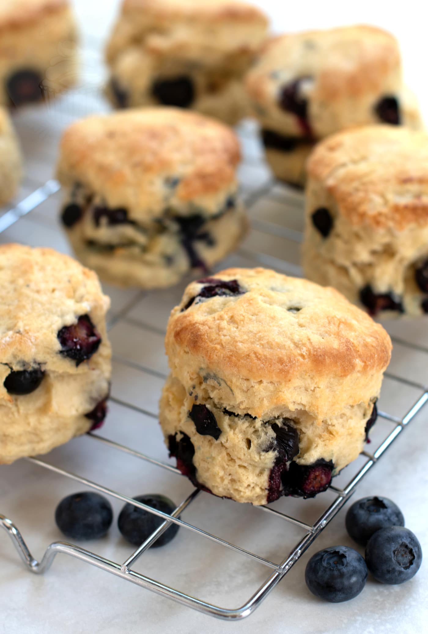 Freshly baked blueberry scones, cooling on a wire rack. The scones are golden in colour and the the blueberries are generous in amount.