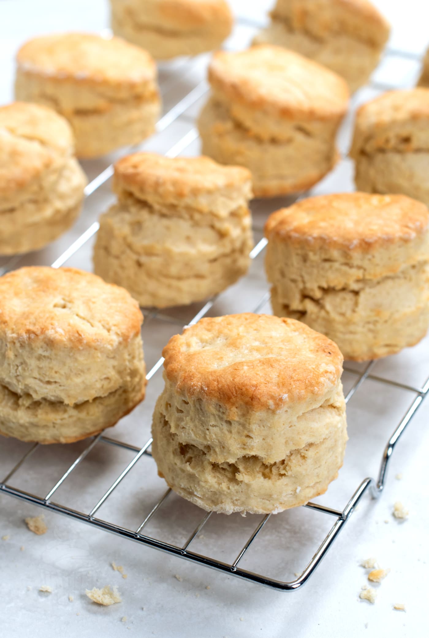 Freshly baked plain scones cooling on a wire rack, showing their golden tops and fluffy texture..