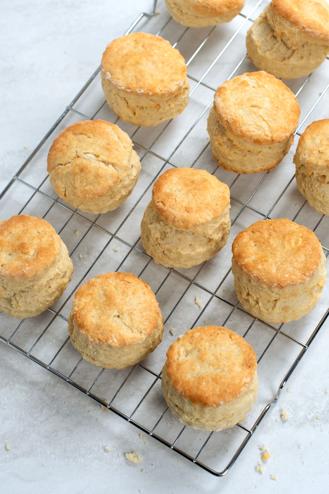 Homemade plain scones cooling on a wire rack after baking, golden brown and well risen.