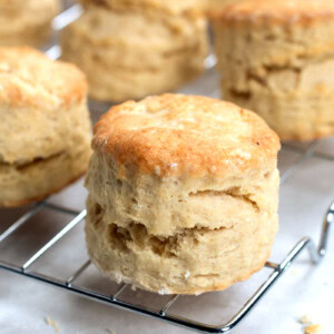 Plain Scones recipe from Baking with Granny. Fool proof recipe for plain scones, easy to make and always delicious.