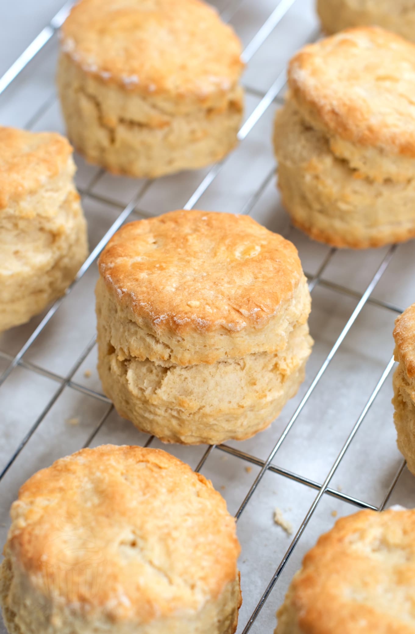 Golden traditional British plain scones cooling on a wire rack after baking.