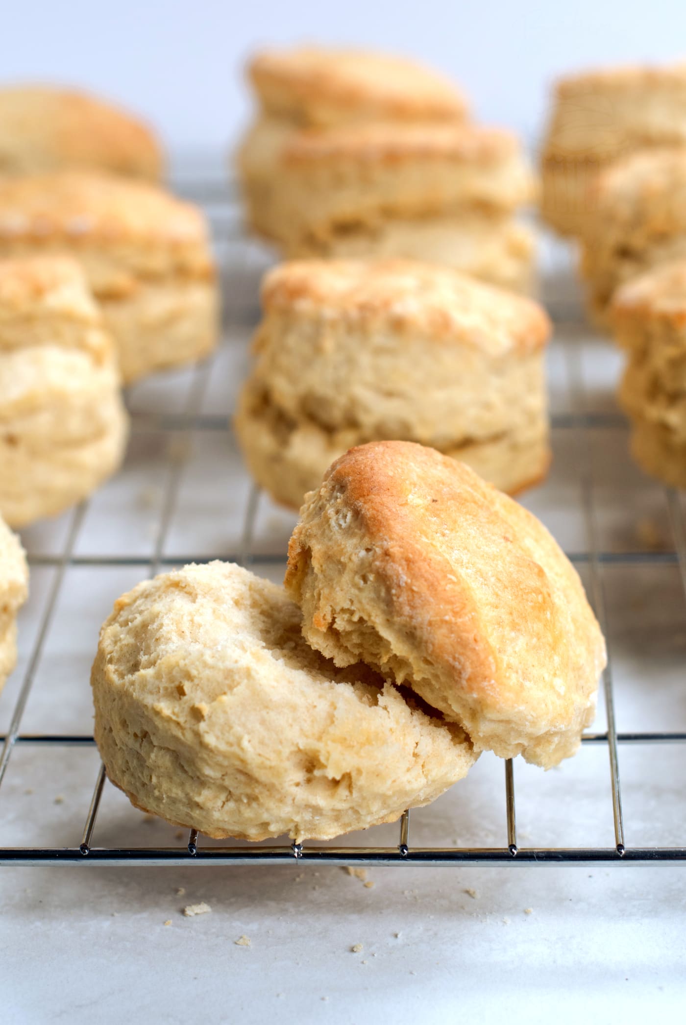 Close-up of freshly baked plain scones on a cooling rack with a soft, fluffy interior.