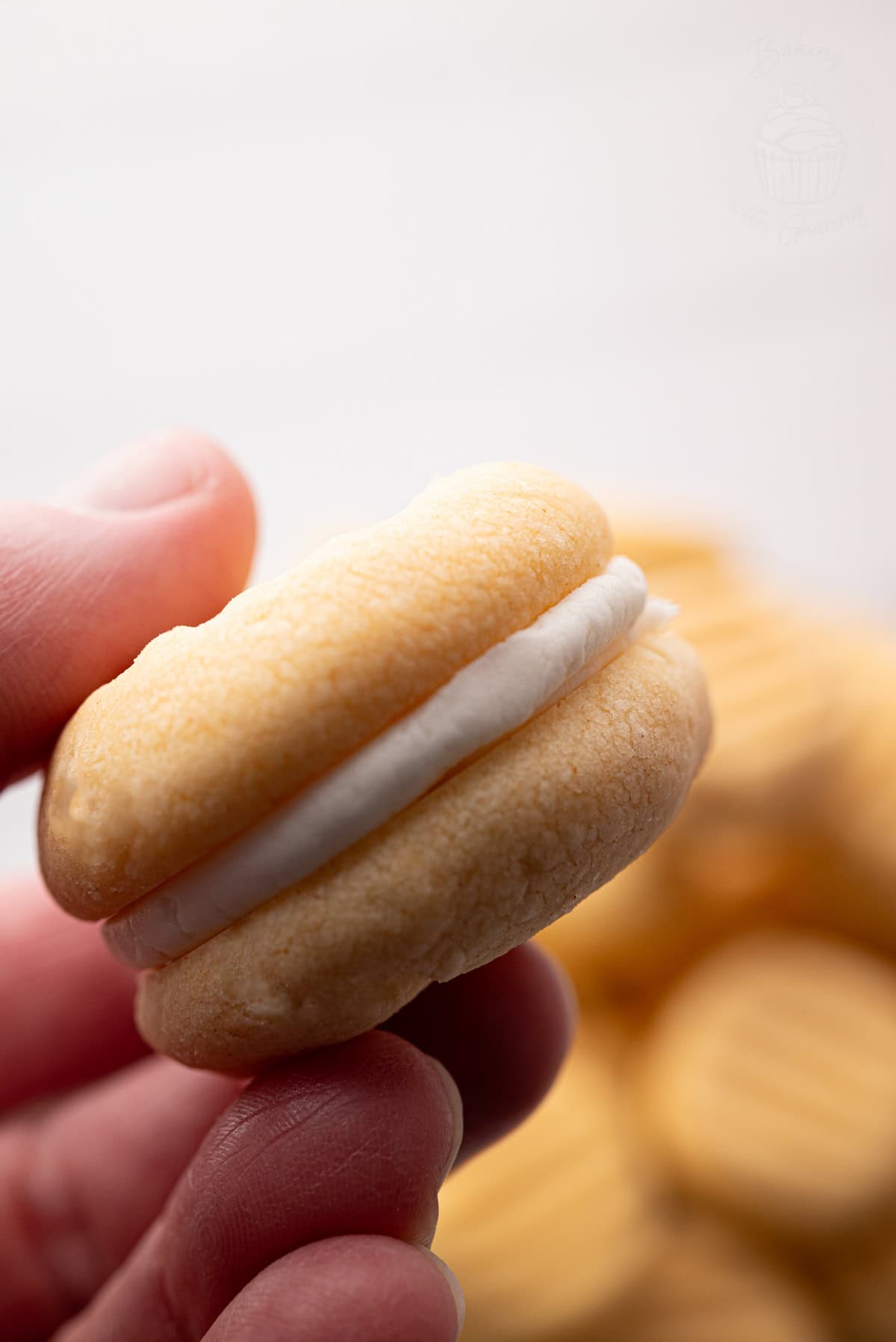 Fingers gently holding a custard cream biscuit over a blurred background of more cookies.
