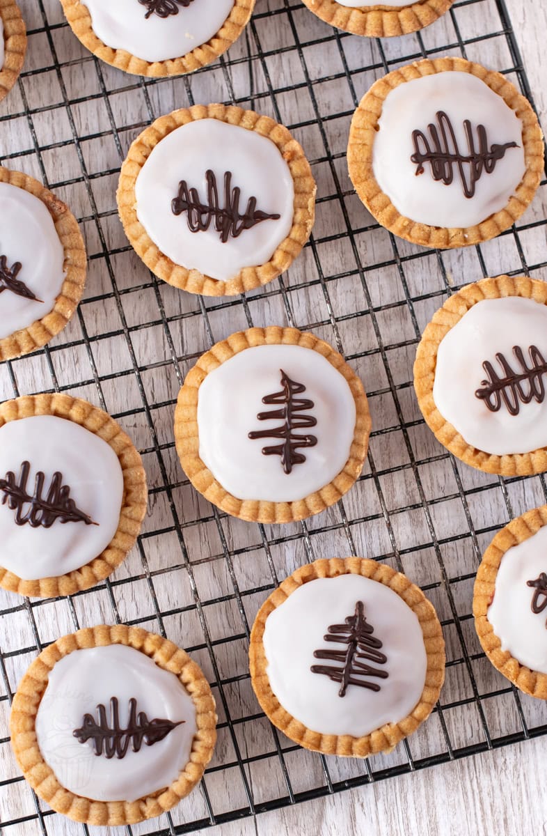 Flat lay of traditional Scottish Fern cakes, showcasing their uniform chocolate feathered fern designs on white icing.