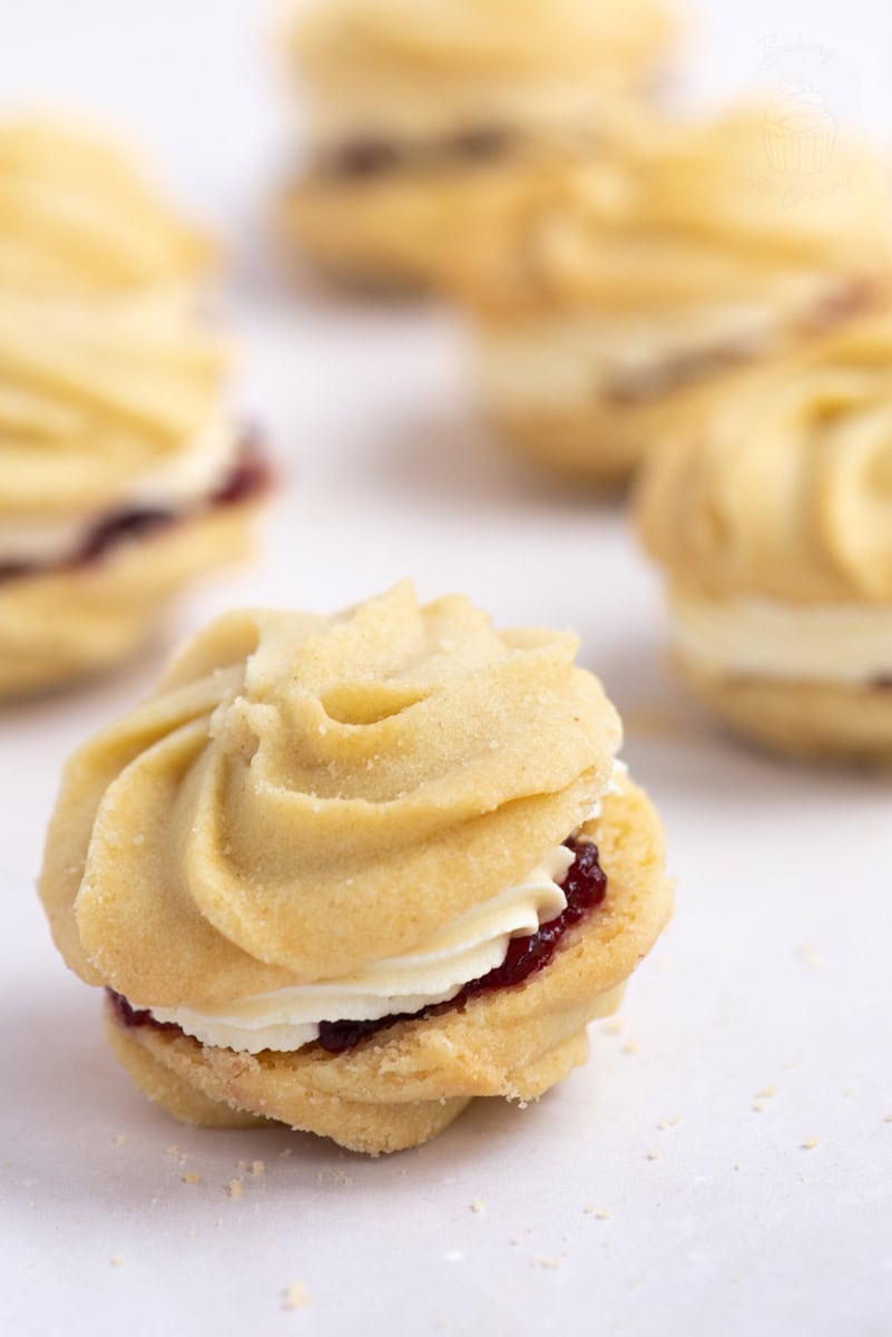 Close-up of a classic Viennese Whirl biscuit with piped buttery layers, buttercream, and jam filling on a white background.