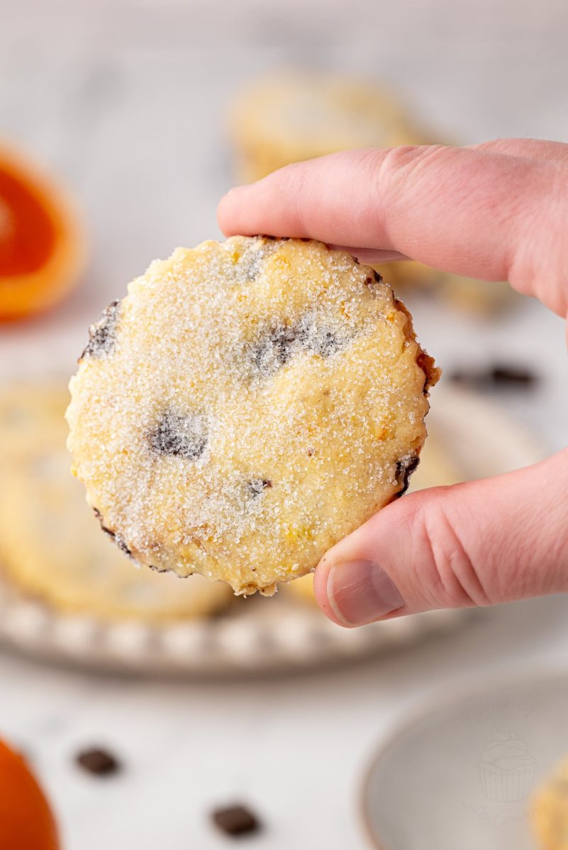 Hand holding a single chocolate orange shortbread biscuit close to the camera, showing the sugar-dusted surface and chocolate pieces.